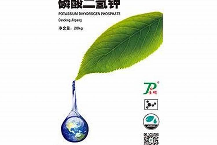 强筋小麦豫麦68的栽培技术要点是什么？