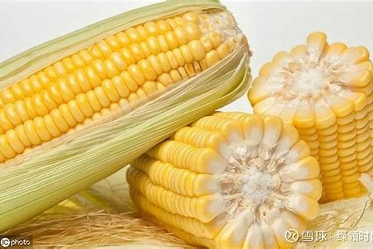 玉米一生需要多少氮磷钾？