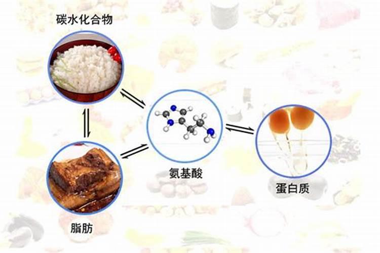 磷肥有哪些作用