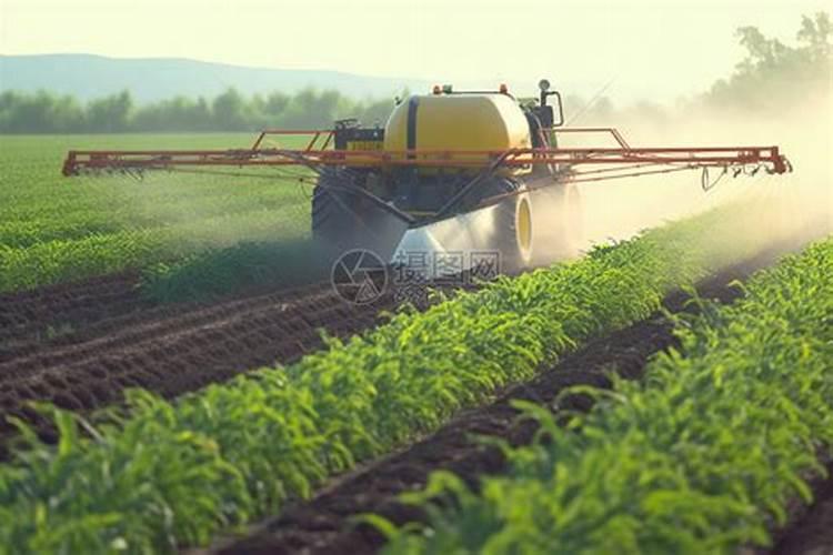 给植物施肥是为了给植物提供什么
