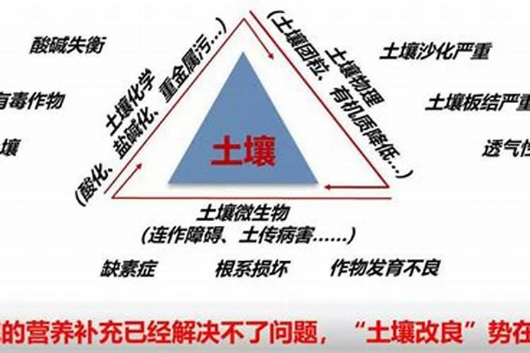 鱼蛋白对农作物的作用