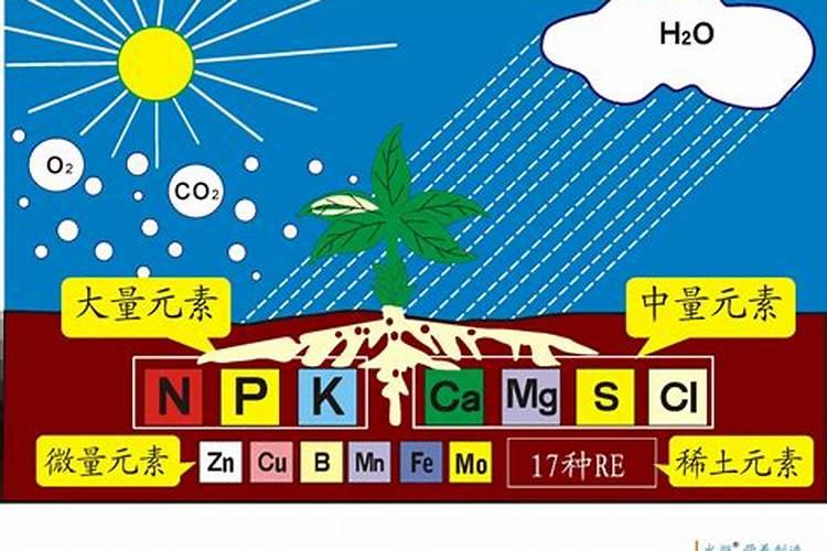 钙镁磷肥怎样用效果好 钙镁磷肥使用注意事项有哪些