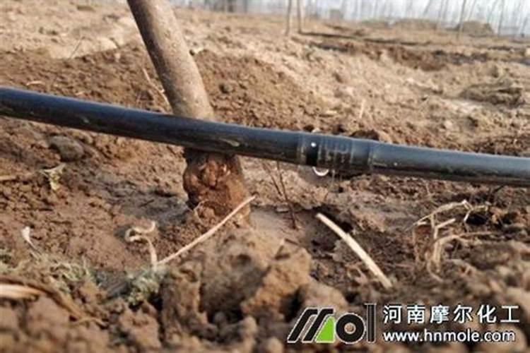 水溶肥滴灌用多大浓度