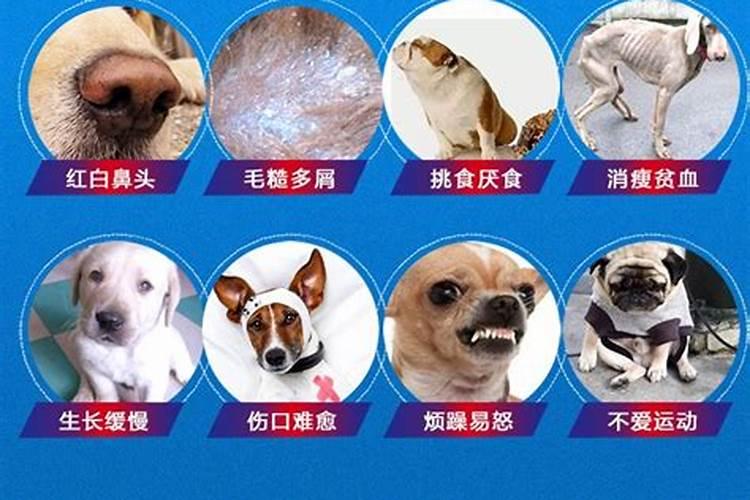 缺乏微量元素怎么补