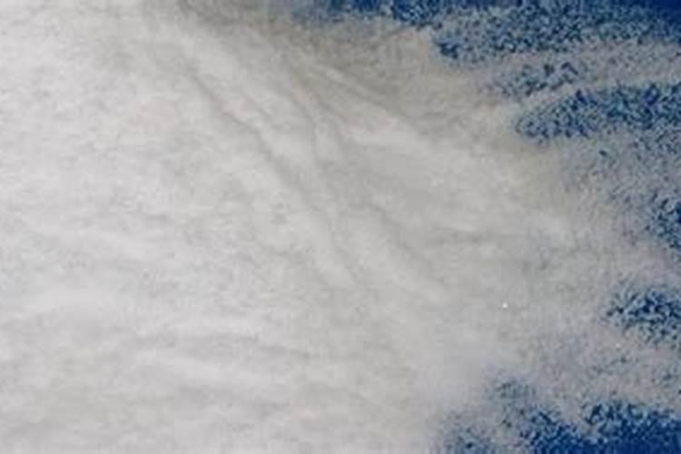 怎样区分蒲公英个荠菜