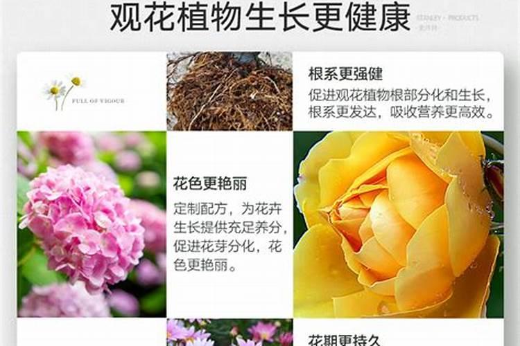 养花只长叶子不开花怎么回事  花叶子发黄用什么肥料