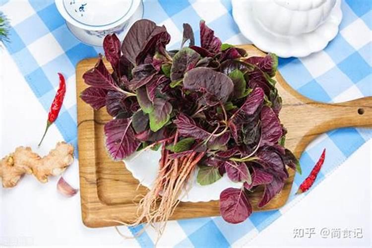 种菜什么时候施肥