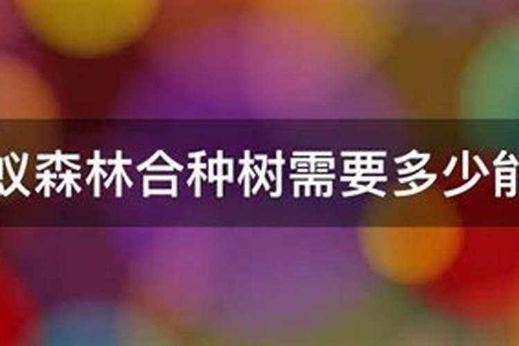 柑橘树用什么肥料好？