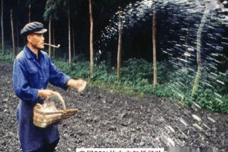 化肥执行标准GB/T15063 化肥标准号和执行标准号的区别