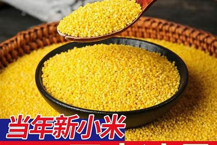 有机肥的发展怎么样？有做的吗？