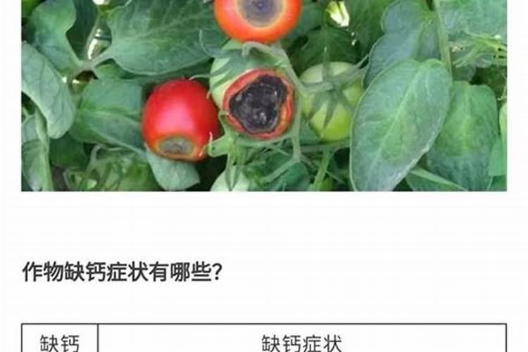 怎么让土里有蚯蚓