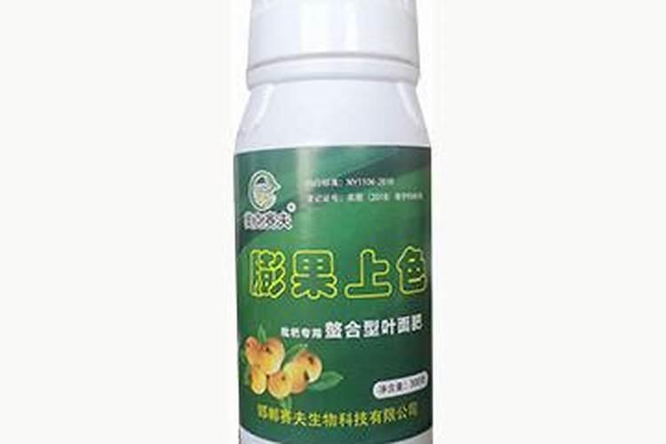 怎样能让枇杷的果又大又甜？枇杷增甜施肥哪种叶面肥效果好