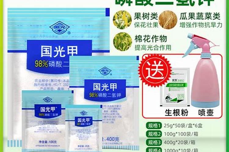 开花需要磷肥还是钾肥