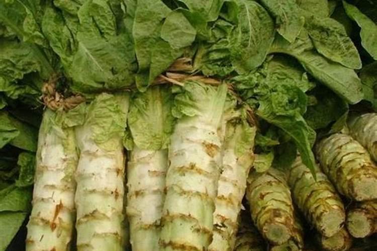 莴笋施用何种肥料可以变得又粗又大