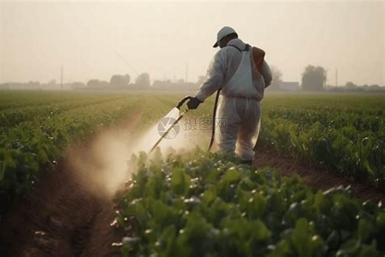 叶面肥什么时候打合适