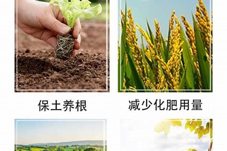 黄腐酸钾水溶肥的主要功效及其用法用量