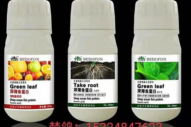 水培铜钱草施什么肥