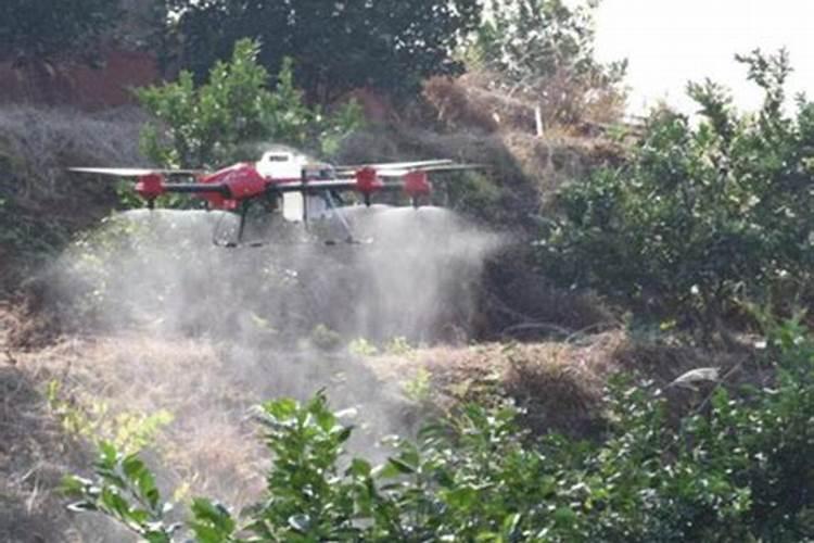 果树喷药和叶面肥6小时后下雨药液有无影响？