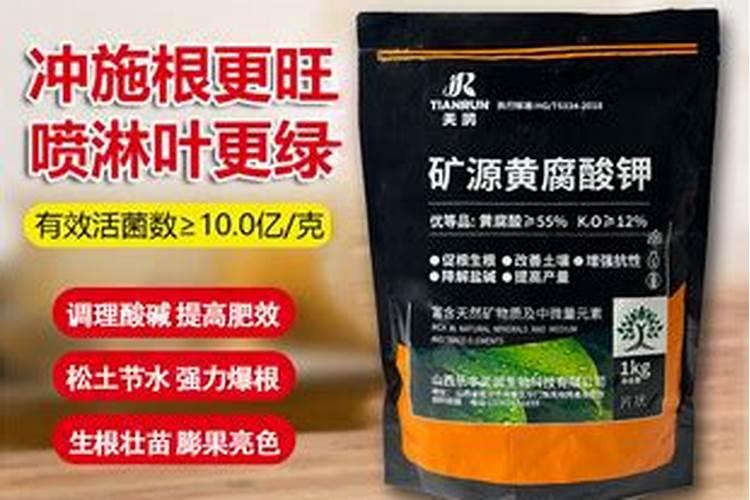 水溶肥厂家选择？王总认准功效肥