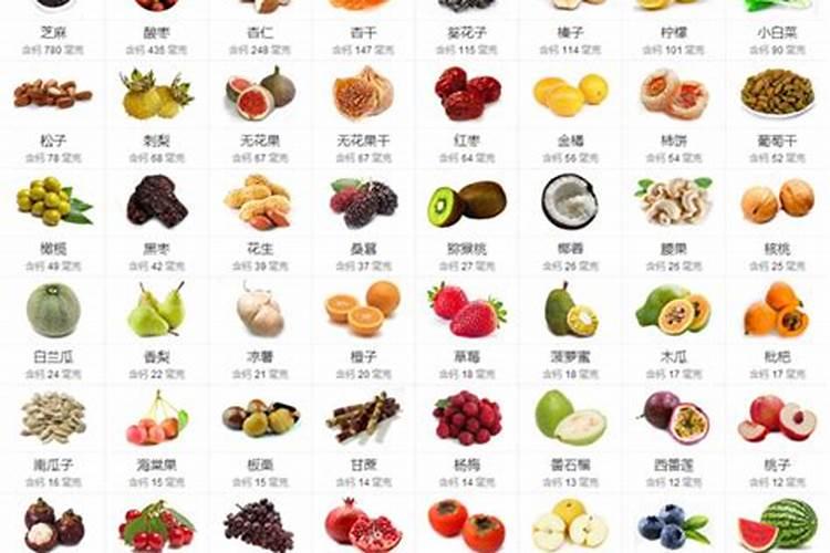 珍珠蚌吃什么？怎样投喂珍珠蚌？