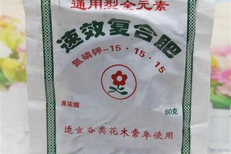 绿萝施肥用什么最好