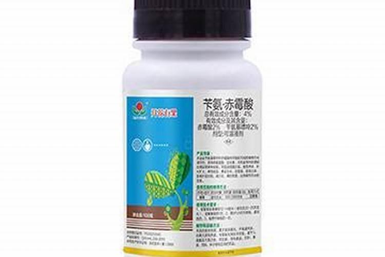 柑橘保花保果什么时候用药,用什么药好？