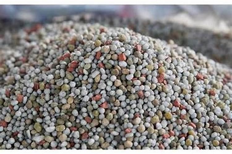 三条金鱼,一个不大不小的鱼缸,怎样养会活的久一些？