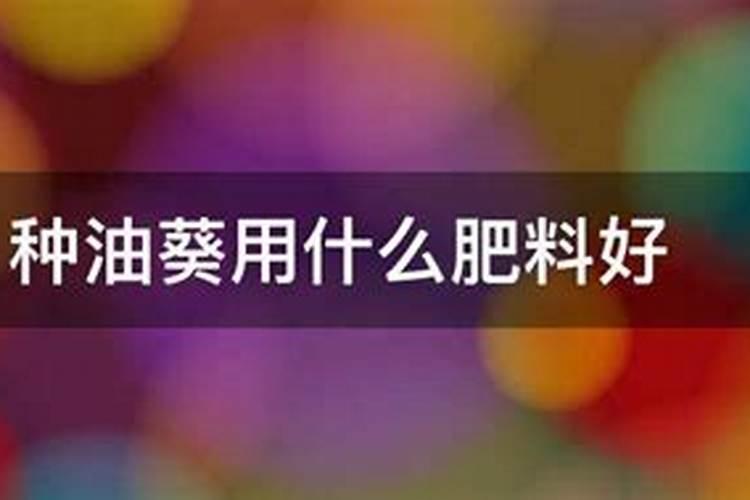 种油葵用什么肥料好