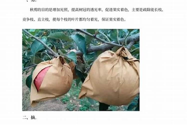 糖及糖醇之木糖醇