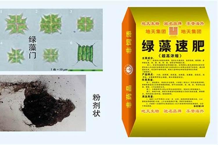 虾池用什么样的生物肥肥水最好