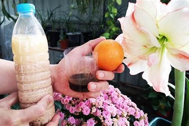如何发酵有机肥水没有臭味