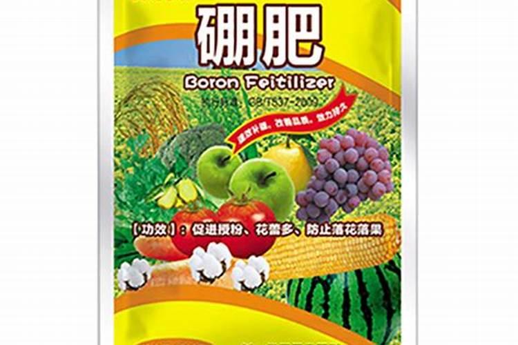 番石榴幼苗可以施肥吗？施什么肥？