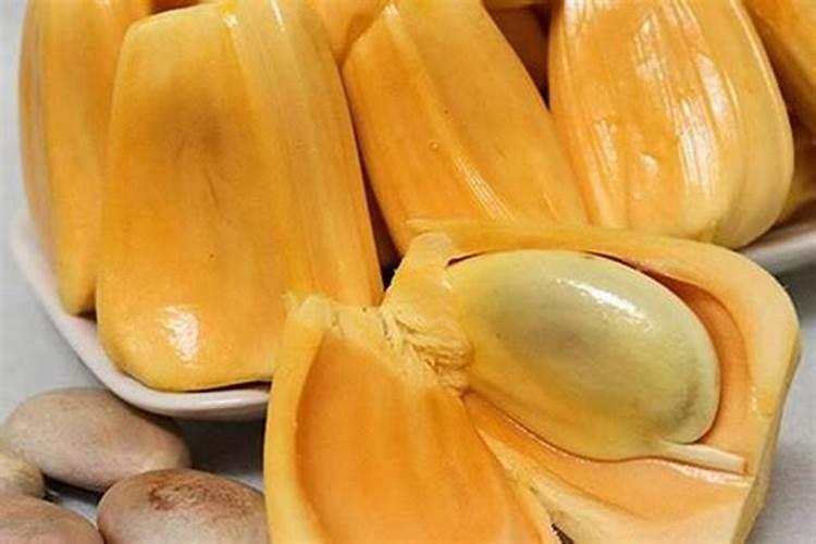 菠萝蜜如何种植 菠萝蜜怎么进行养护
