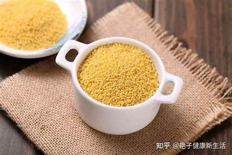 喝剩的小米粥浇花行吗