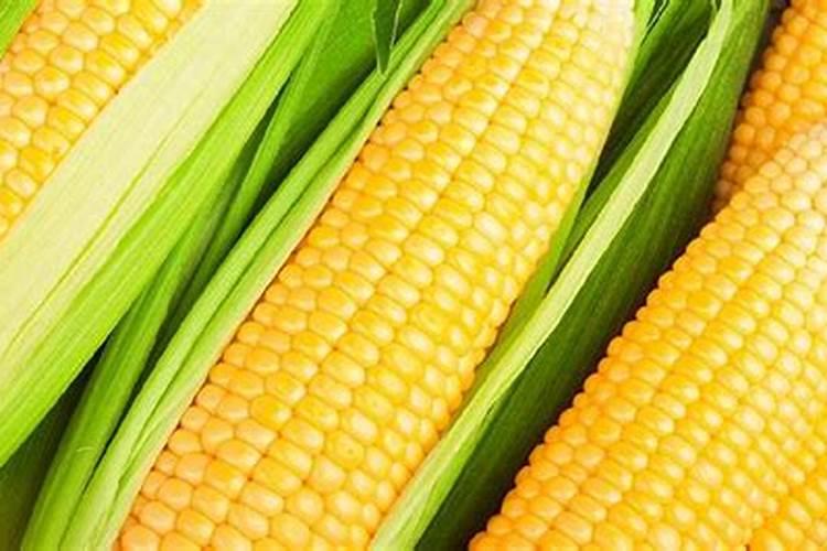 玉米攻苞肥施什么肥料好 什么时候使用好