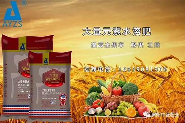 复合肥埋在土里多久就可以起效