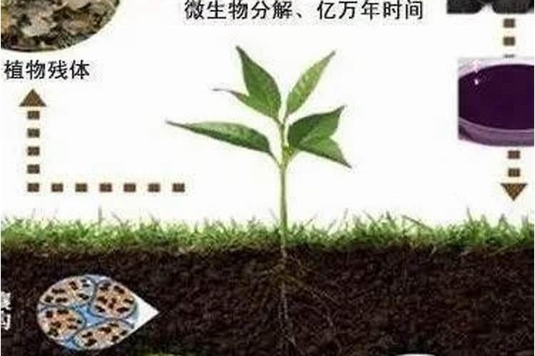 土地酸碱度怎么检测,那个单位可以测？