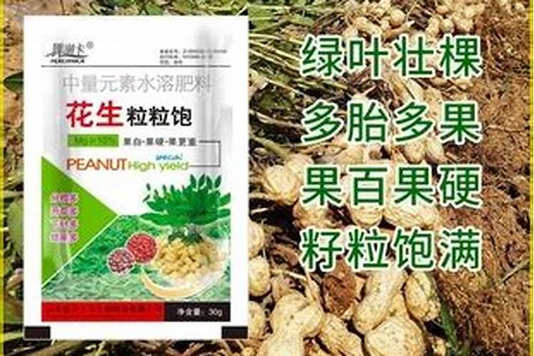 每次施肥都提心吊胆,不是怕多就是怕少,怎么给盆景进行正确的施肥？