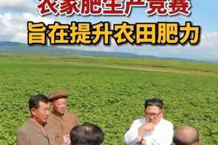 朝鲜人种地很少使用化肥,农民干活成群结队