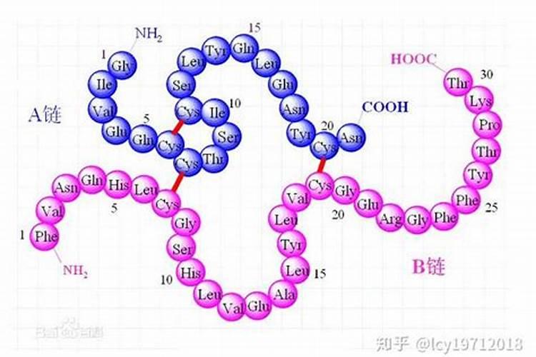 鱼蛋白自制配方