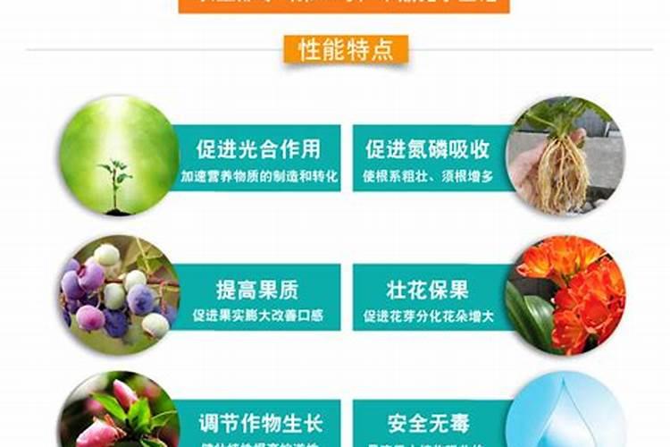 花椒叶面肥多久打好