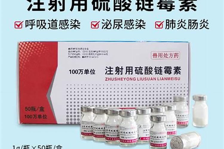 看看我的西红柿到底是什么病叶子上的黑点一天比一天多怎么办？百度知 ...