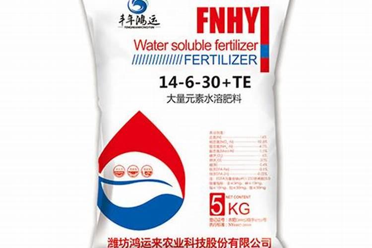 红提葡萄的施肥和浇水技巧