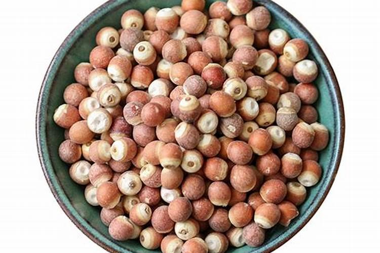 [适合种植芡实栽培正确方法] 芡实种植