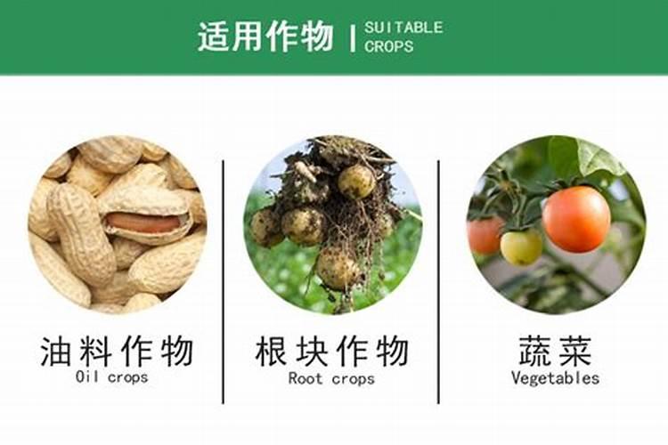 中微量元素肥是生根粉吗