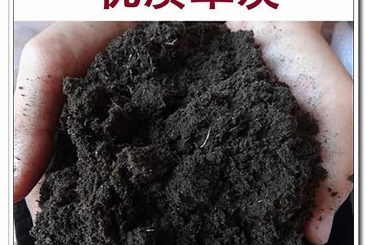 蓝莓采摘后灌根用什么土