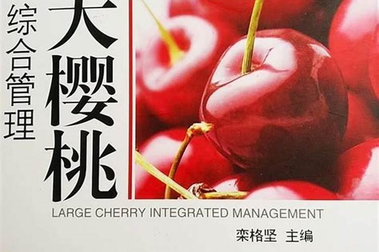 盆栽大樱桃怎样管理和施肥