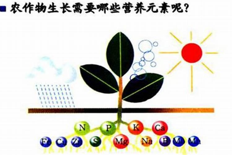 农作物微量元素有哪些