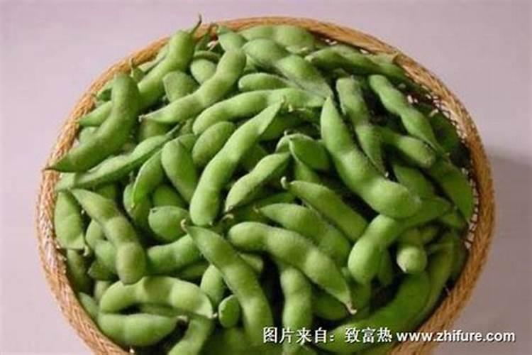大蒜现在用什么肥料