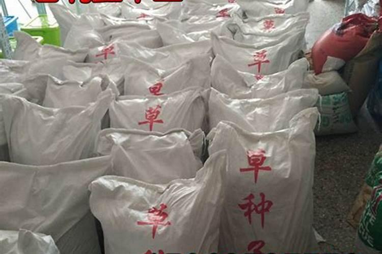 大葱一亩地的成本多少
